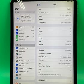 ★本体美品 iPad Pro 11インチ Wi-Fi+Cellular 256GB KDDI ○