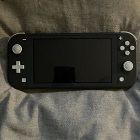 【美品】 Nintendo Switch Lite 本体 グレー ケース付き