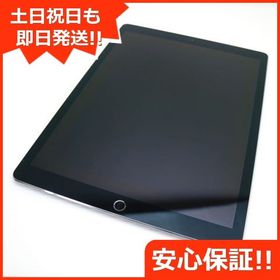 美品 iPad Pro 第2世代 12.9インチ Wi-Fi 256GB スペースグレイ