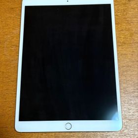 【ジャンク・動作OK】iPad Pro 10.5 64GB 本体＋カバー液晶漏れ