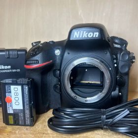 Nikon D800 ニコン人気名機 完動極美品