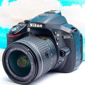 ニコン Nikon D5300⭐️WIFI機能搭載！⭐️一眼レフ⭐️おまけ多数