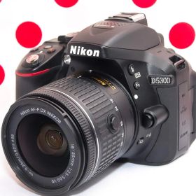 Nikon D5300❤スマホに転送❤Wi-Fi搭載❤動画＆自撮りラクラク！