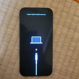 iPhone 14 Pro 1TB 新品 162,000円 中古 58,000円 | ネット最安値の