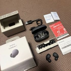 Sony LinkBuds S ワイヤレスイヤホンWF-LS900N