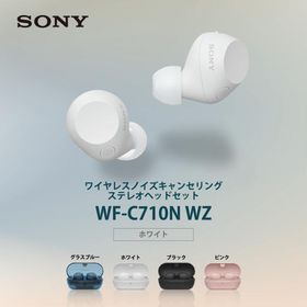 ワイヤレスイヤホン ソニー 完全 ホワイト ノイズキャンセリング WF-C710N WZ