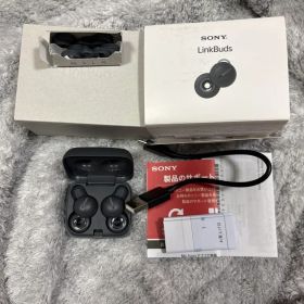 LinkBuds WF-L900HM