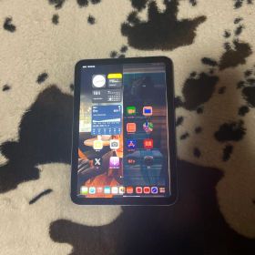 iPad mini 2021 (第6世代) Celler モデル 中古 27,000円 | ネット最