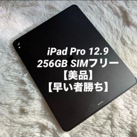 【完動品】iPad Pro 12.9 256GB SIMフリー 【すぐ発送】