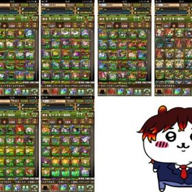 パズドラ引退垢 激安