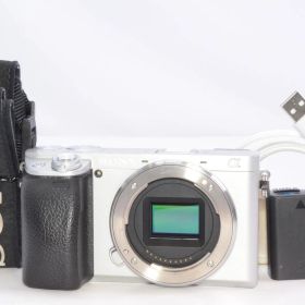 SONY(ソニー) APS-C ミラーレス一眼カメラ α6400 ボディ(レンズなし) シルバー ILCE-6400 S