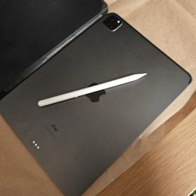 iPad Pro (11インチ) 第2世代 256GB ApplePencil2
