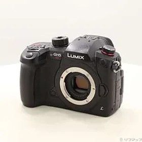 パナソニック LUMIX DC-GH5S 新品¥131,624 中古¥75,920 | 新品・中古の