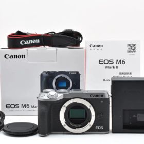 ■ほぼ新品■ キヤノン EOS M6 Mark II #C702