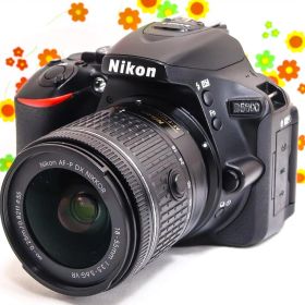 美品 ニコン Nikon D5600☆スマホに転送☆高性能一眼レフ☆自撮り可能！