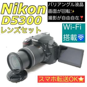 Nikon D5300 レンズセットWi-Fi搭載 初心者向け バッグ付き