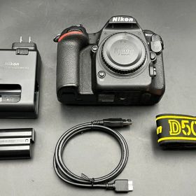 Nikon D500 ボディ ニコン デジタル一眼 #256
