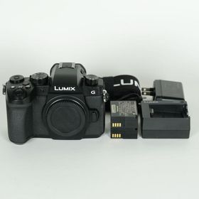 [良品 | シャッター数19,897回｜バッテリー2個付] Panasonic LUMIX DC-G99D ボディ ブラック | マイクロフォーサーズマウント