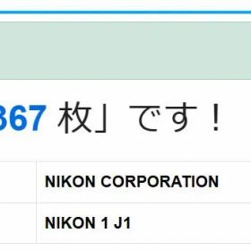 ショット数367枚 NIKON 1 J1 ダブルズームセット 美品です