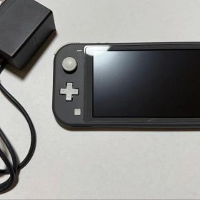 Nintendo Switch Lite グレー 充電器付き