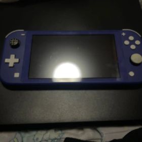 Switchライト ジャンク品