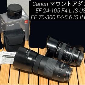 Canon マウントアダプタ EF-EOS R+ EFレンズ2本セット