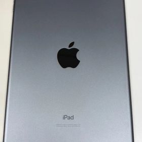 美品 電池83% SIMフリーiPad mini(第5世代) 64GB スペースグレイ