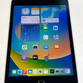美品 電池81％ iPad mini(第5世代) 64GB スペースグレイ