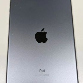 iPad mini (第5世代) Wi-Fi 256GB スペースグレイ