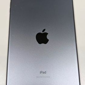 iPad mini (第5世代) Wi-Fi 256GB スペースグレイ