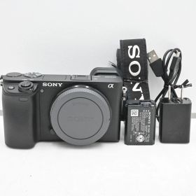 ショット数『1909』SONY(ソニー) APS-C ミラーレス一眼カメラ α6400 ボディ