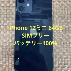 iPhone 12 mini 64 GBブラックSIMフリー【6948】