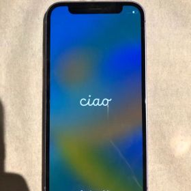 Apple iPhone 12 mini ミニ 本体 256GB パープル