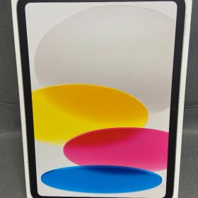 新品未開封 WiFi版 iPad (A16) 第11世代 512GB シルバー色