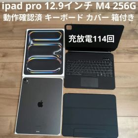 Apple iPad Pro (M4) 13インチ 256GB スペースグレー