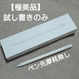 【極美品/試し書きのみ】Apple Pencil 第2世代 箱有 純正品