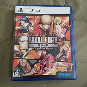 エスエヌケイ(SNK)の餓狼伝説 City of the Wolves SPECIAL EDITION(家庭用ゲームソフト)