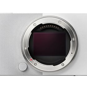 Sigma BF ボディ [シルバー]