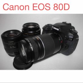 Canon EOS 80D標準&望遠&単焦点トリプルレンズセット
