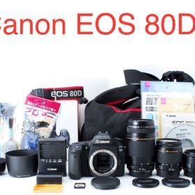 Canon EOS 80D標準&望遠&単焦点トリプルレンズセット