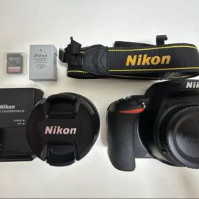 Nikon D5600 AF-P DX NIKKOR 18-55mm