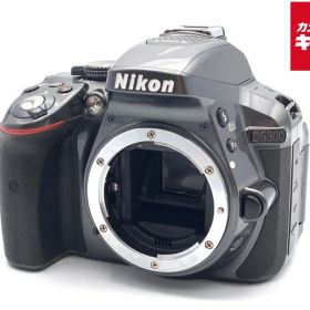 【中古】 【並品】 ニコン D5300 ボディ グレー