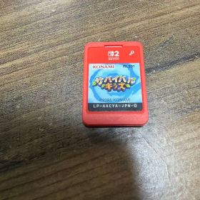 Switch2 ソフト サバイバルキッズ ケースなし