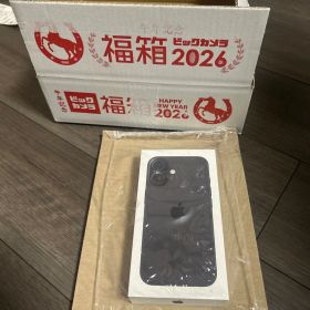 iPhone16 256gb