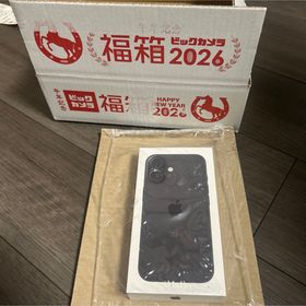 アイフォーン(iPhone)のiPhone16 256GB(スマートフォン本体)