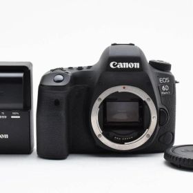 ★極上品ショット数23490回★ キャノン CANON EOS 6D Mark II ボディ フルサイズ ★ L69#6320