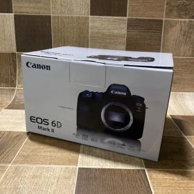 美品 Canon キャノン EOS 6D Mark II ボディ カメラ