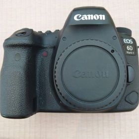 Canon EOS 6D Mark II 本体