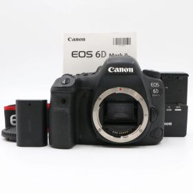 【美品】CANON キャノン EOS 6D Mark II ショット数50071枚!
