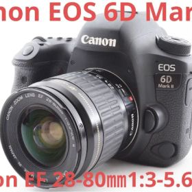 Wi-Fi&動画/Canon EOS 6D Mark II標準レンズセット